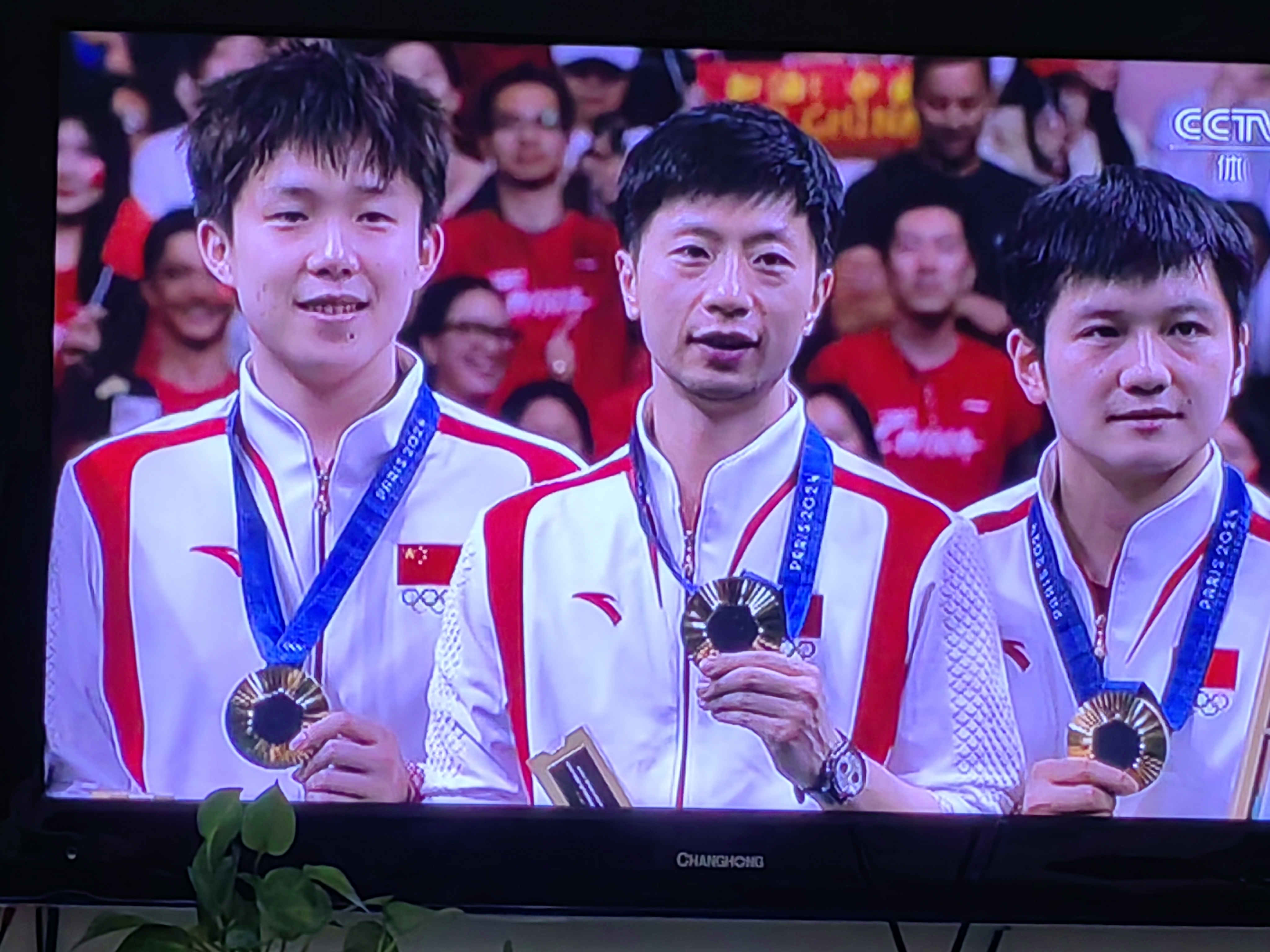 开云-韩国队完胜中国队，马龙点燃赛场的简单介绍