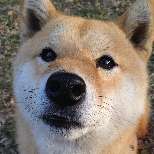 开云体育APP下载-救赎夜与告别式，克莱·汤普森的生涯之夜与奥运周期关键战的永恒回响
