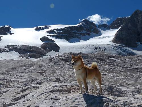 绿茵场上的新神迹，加纳青年军轻取蓝月豪门，拉亚三扑点球封神之战