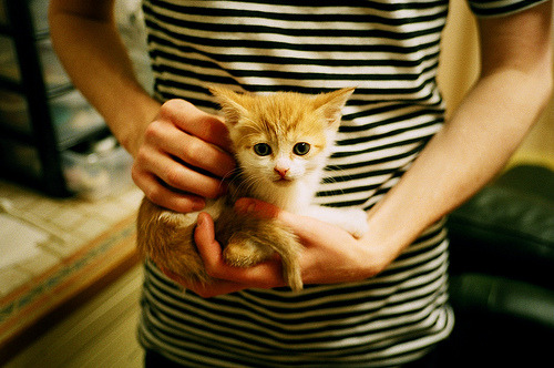 蝴蝶与飓风，久保建英的刀锋与玻利维亚的高原风暴如何重绘足球美学地图