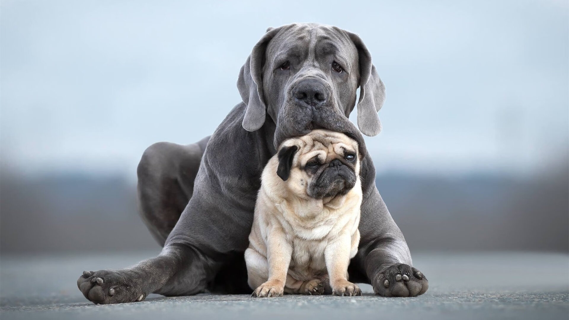 亚平宁新王加冕之战，努涅斯独舞撕碎加纳防线，世界排名争夺战悬念再起
