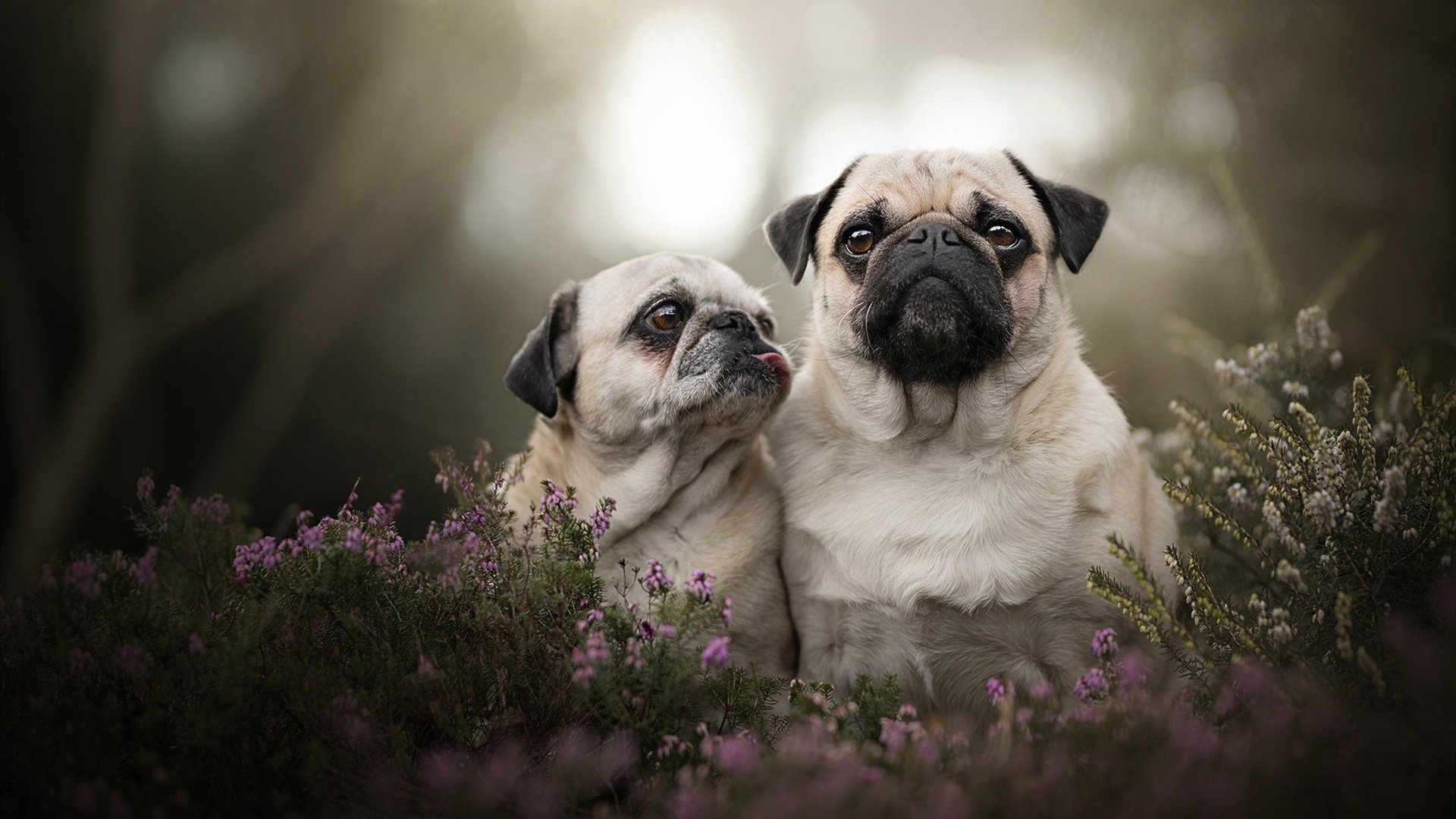 开云官网-神话落幕，当希腊方阵遭遇坎特，利物浦的铁血压制如何改写现代足球法则