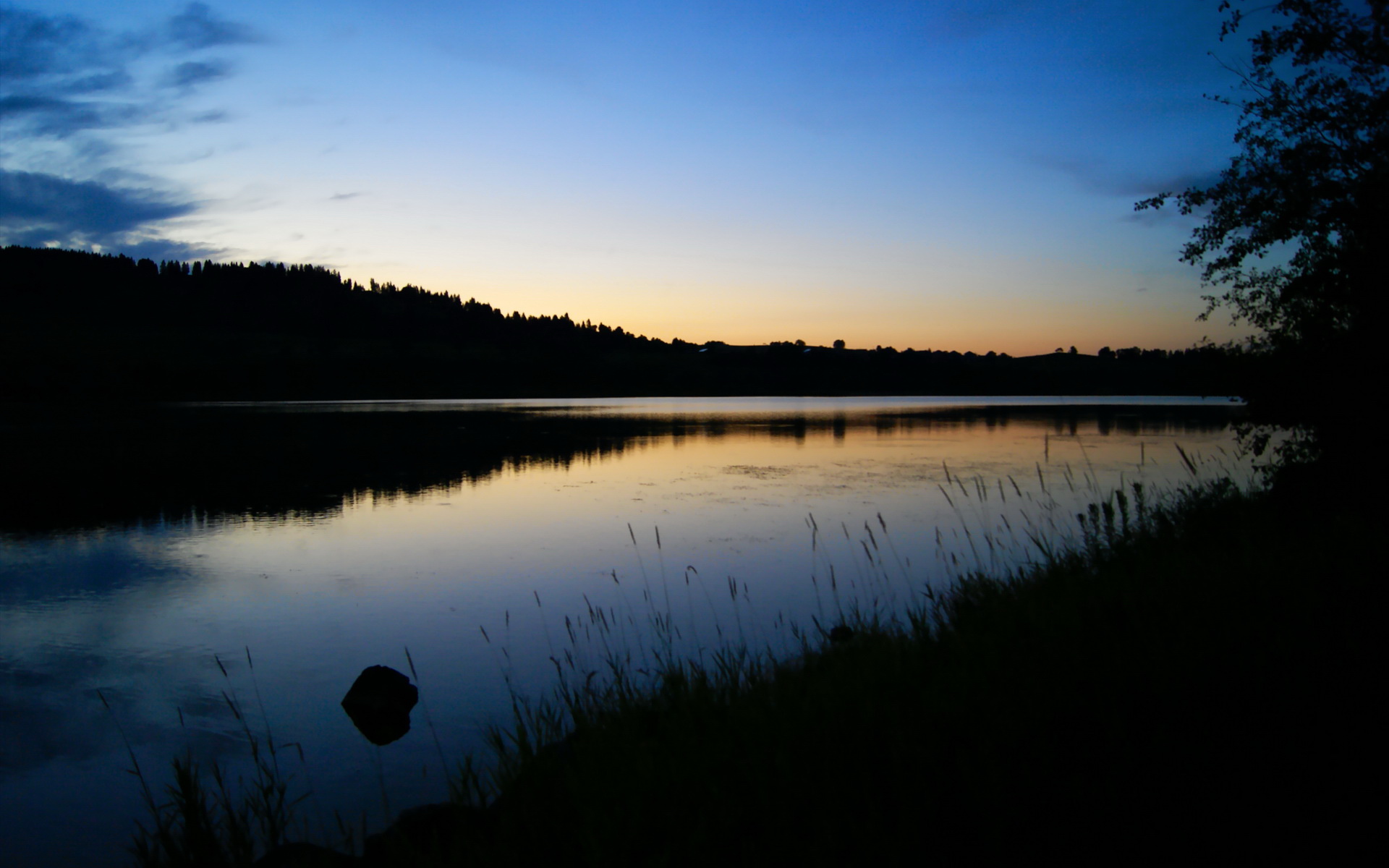 印城噩梦!米切尔致命舞步,篮网绝境重生登顶东部王座