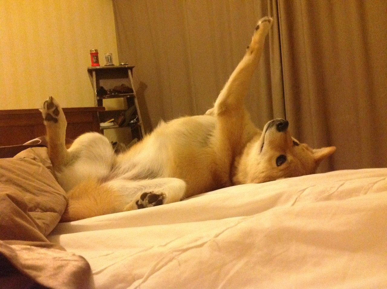 布伦森狂轰46+8创生涯之夜！死神复出关键封盖，篮网1秒险胜爵士