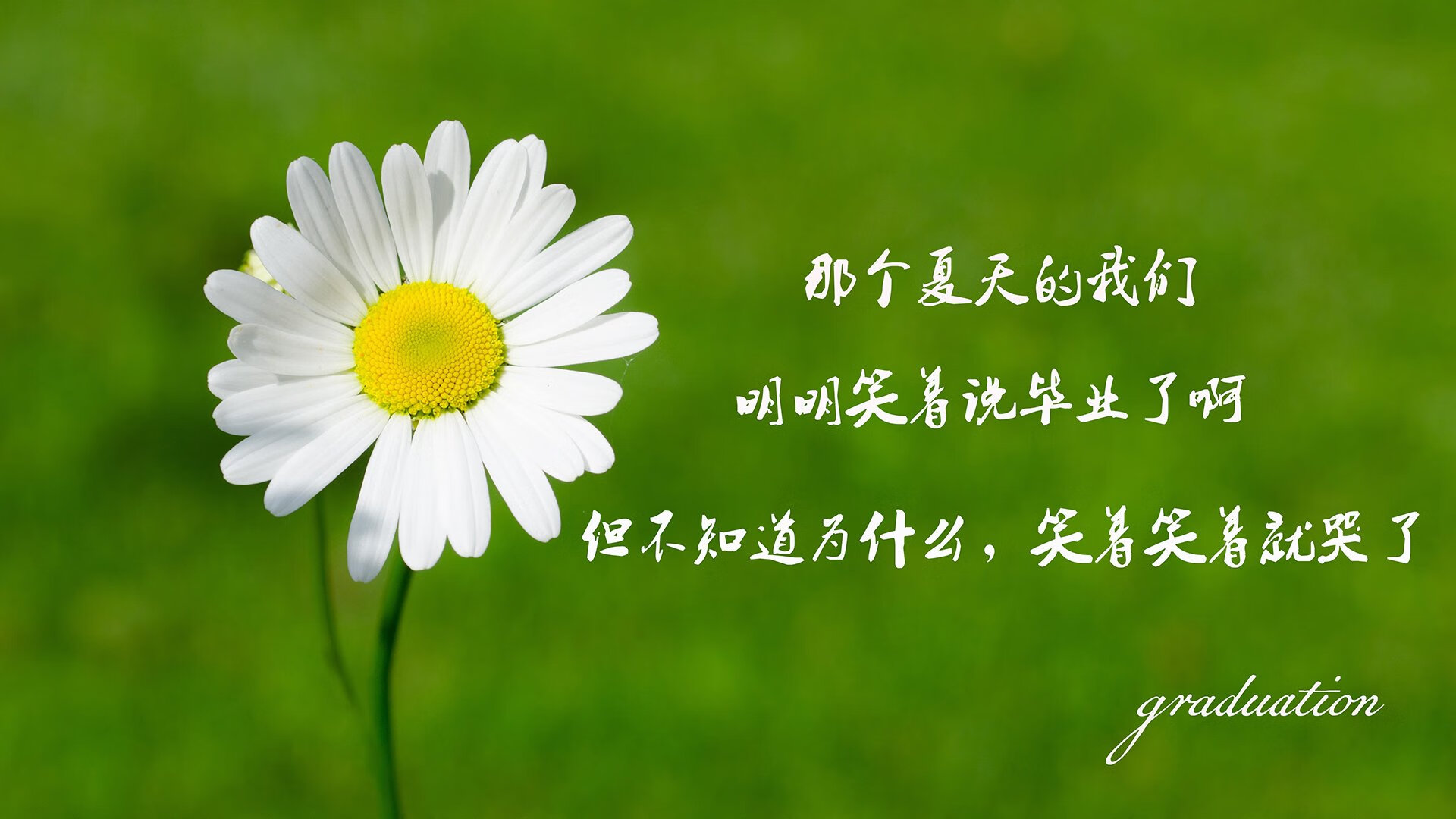 西决生死战，哈利伯顿的压制级发挥，改写历史之夜
