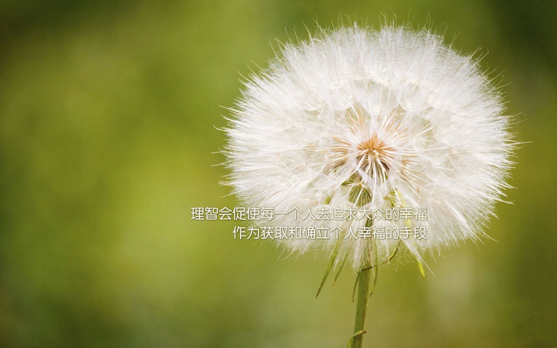 开云体育中国-蓝衣军团的宿命之战，2026世界杯H组焦点战，意大利险胜韩国，苏亚雷斯以灵魂导演绝杀时刻